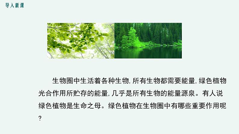 7.1  绿色植物在生物圈中的作用 课件 初中生物北师大版 七年级上册（2021年）第4页