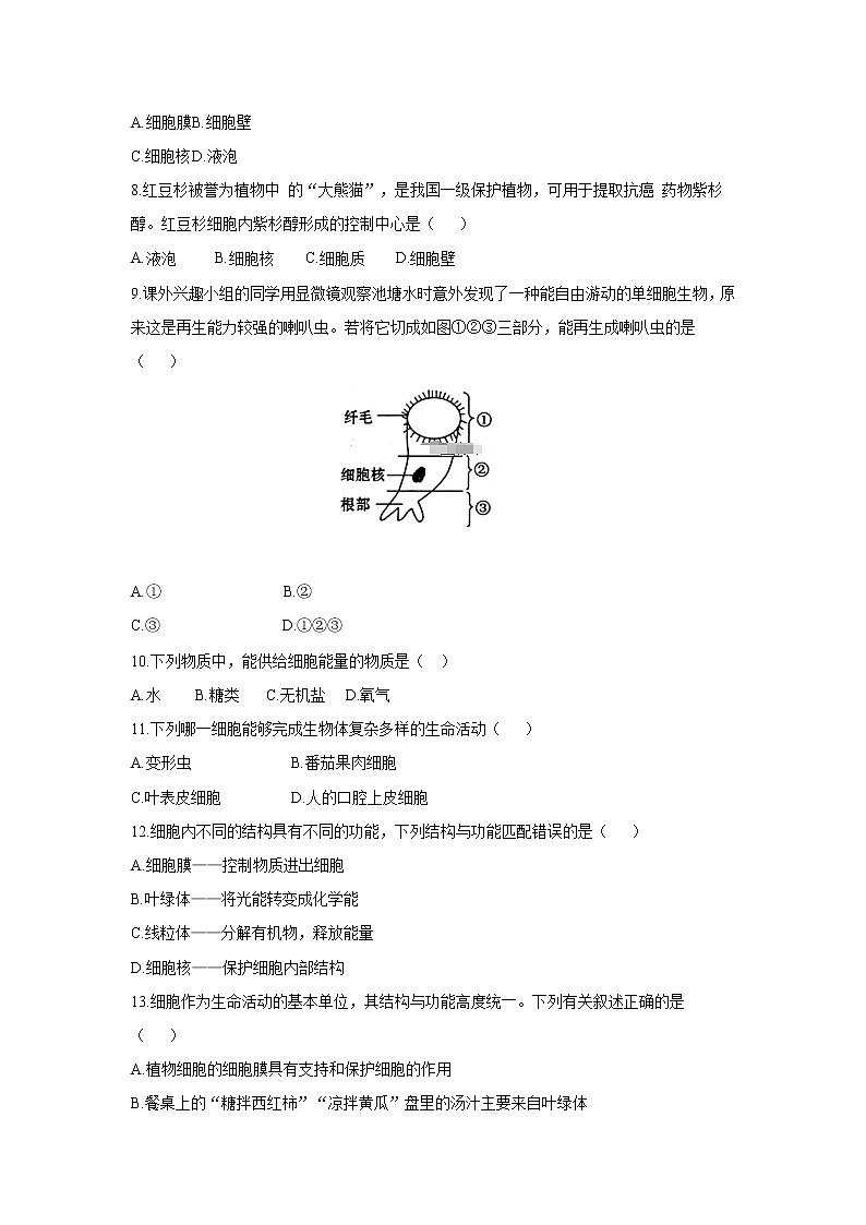 _2.3.2 细胞是生命活动的单位 同步练习 初中生物北师大版 七年级上册（2021年）第2页