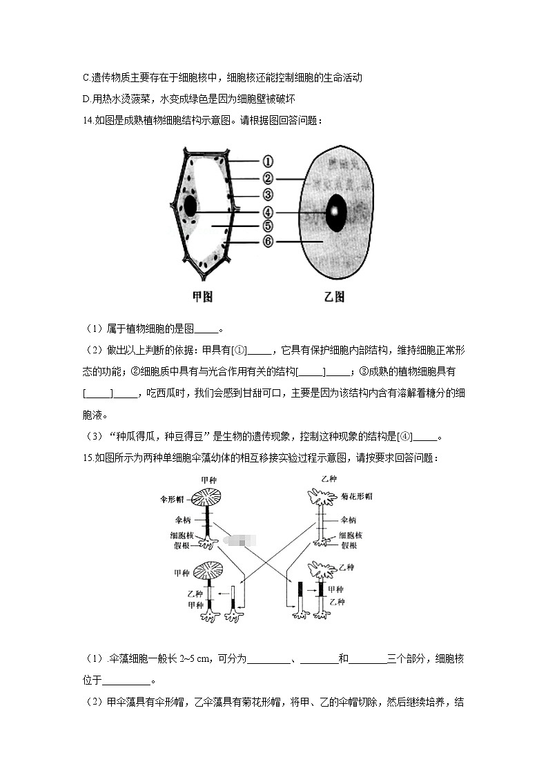 _2.3.2 细胞是生命活动的单位 同步练习 初中生物北师大版 七年级上册（2021年）第3页
