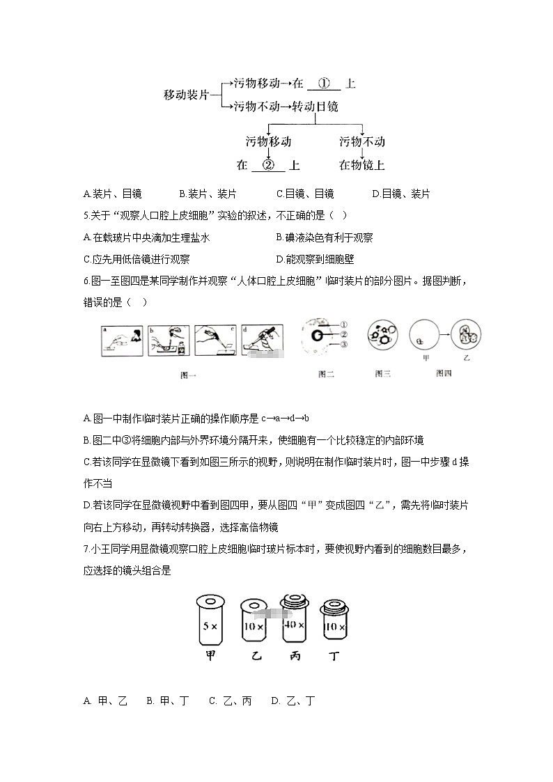 _2.3.1 细胞的基本结构和功能 同步练习 初中生物北师大版 七年级上册（2021年）第2页