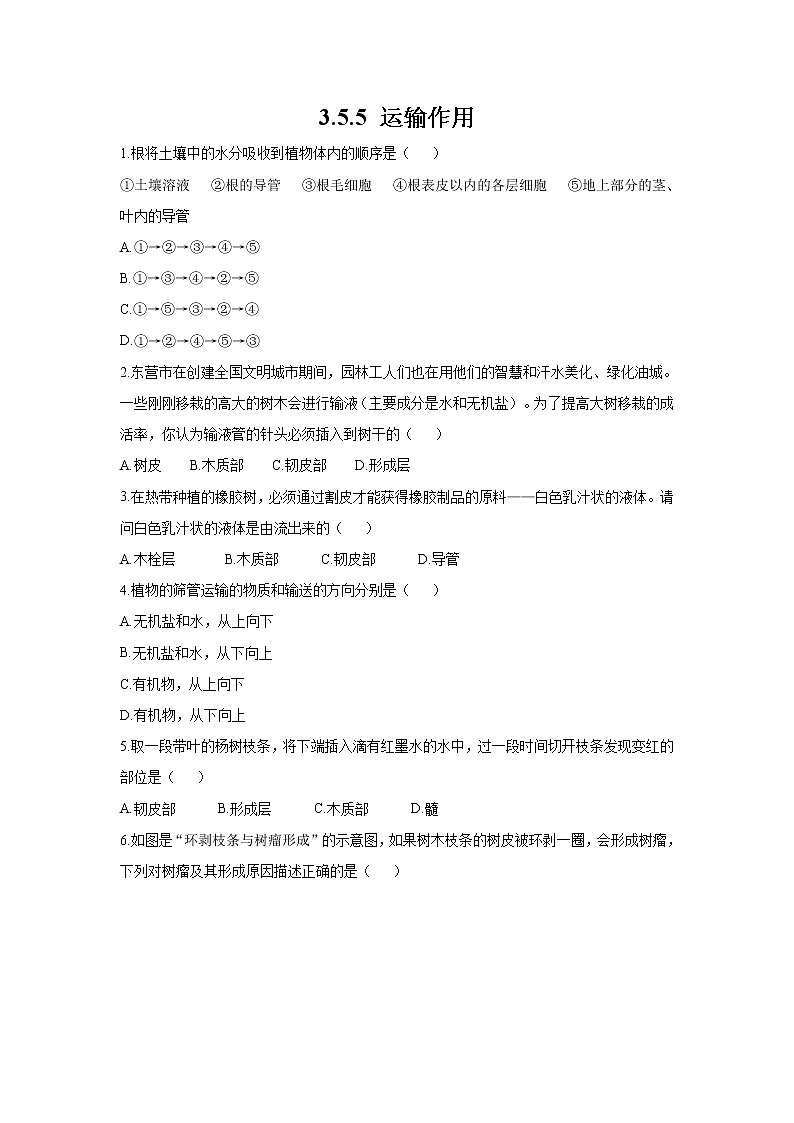 _3.5.5 运输作用 同步练习 初中生物北师大版 七年级上册（2021年）第1页