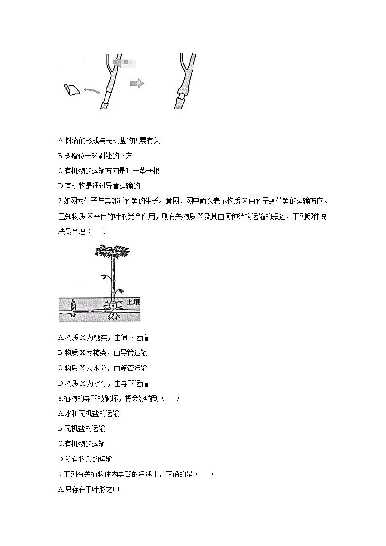 _3.5.5 运输作用 同步练习 初中生物北师大版 七年级上册（2021年）第2页