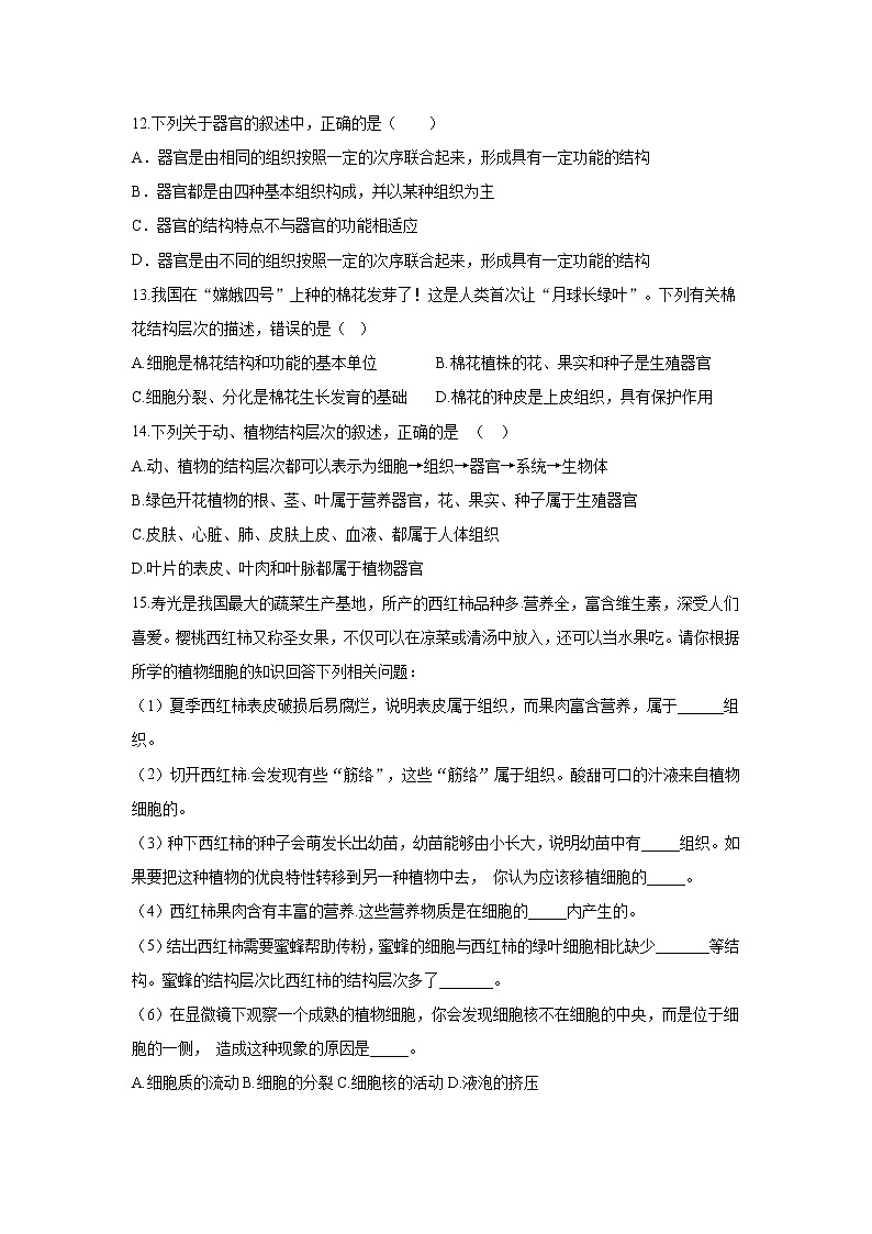 _2.4.2 生物体的器官、系统 同步练习 初中生物北师大版 七年级上册（2021年）第3页