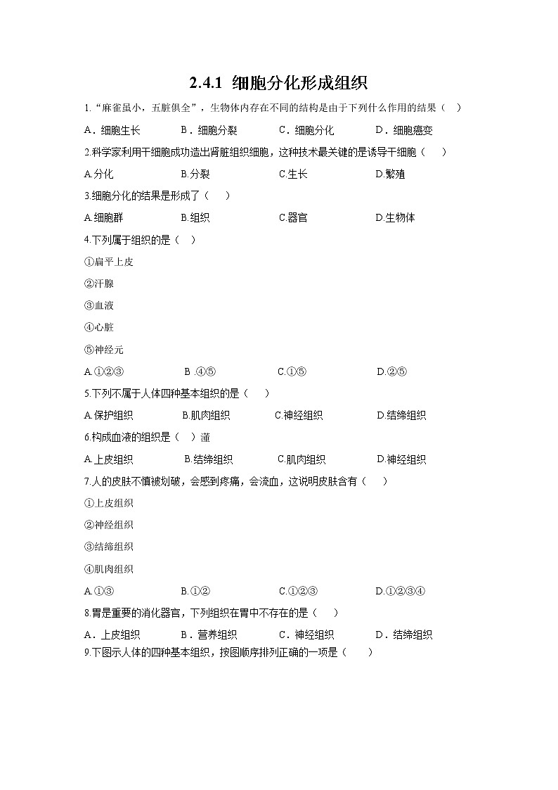 _2.4.1 细胞分化形成组织 同步练习 初中生物北师大版 七年级上册（2021年）01