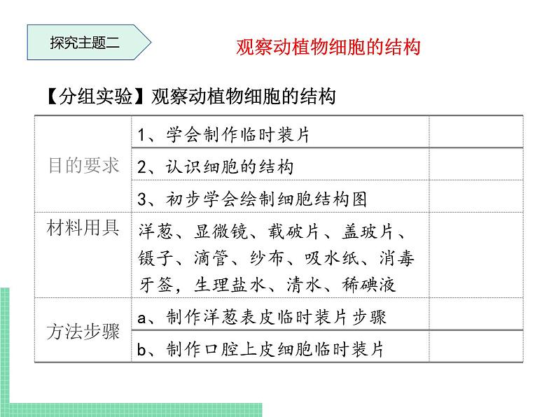 细胞的结构和功能PPT课件免费下载06