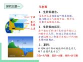 生物的生活环境PPT课件免费下载