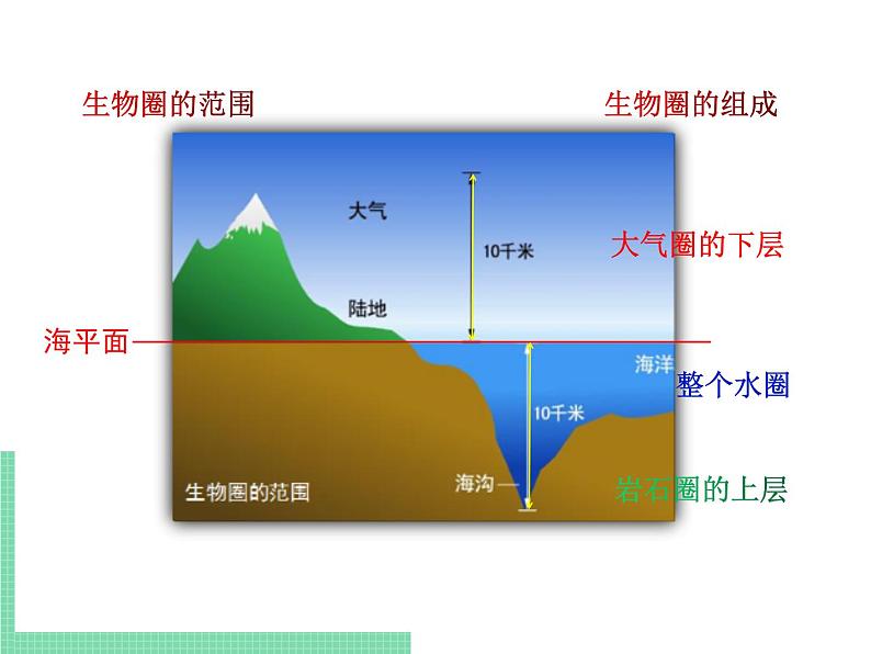 1.1.2 生物的生活环境 课件 初中生物济南版 七年级上册（2021年）第5页