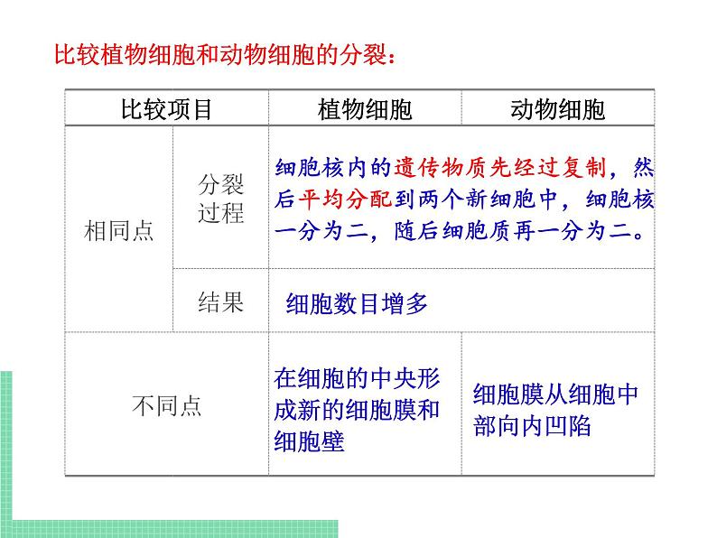 细胞的分裂与分化PPT课件免费下载07