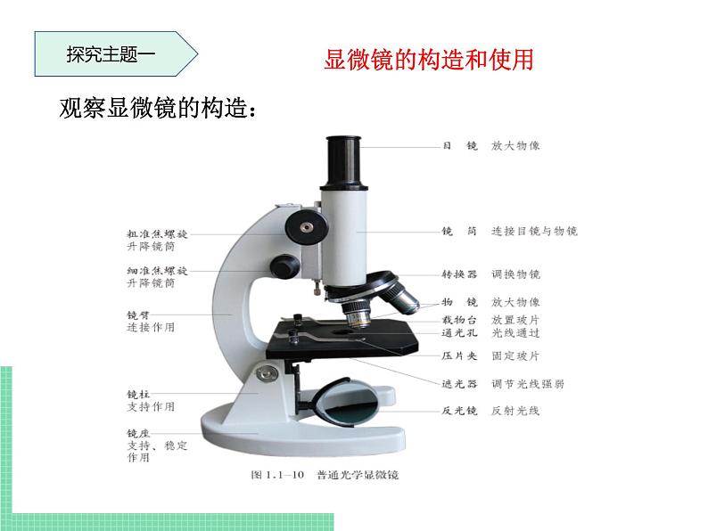 1.1.4 生物学的研究工具 课件 初中生物济南版 七年级上册（2021年）第4页