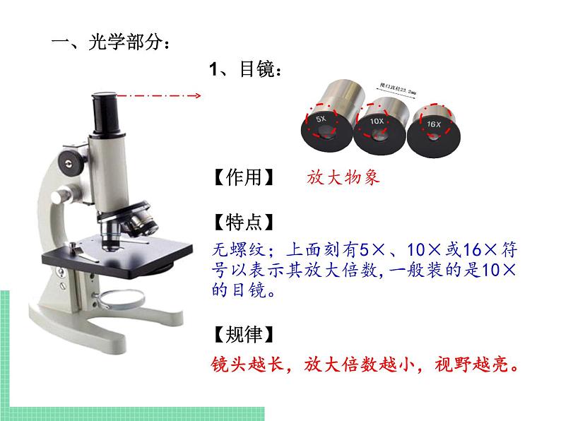 1.1.4 生物学的研究工具 课件 初中生物济南版 七年级上册（2021年）第5页