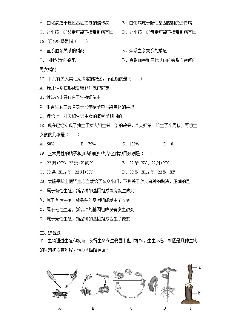 河南省漯河市地区2021-2022学年八年级上学期期中生物试题（word版 含答案）03