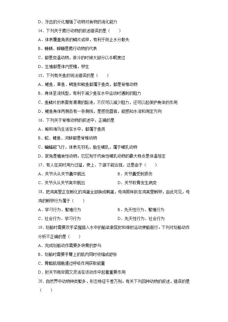 江西省南昌市2021-2022学年八年级上学期期中生物试题（word版 含答案）第3页