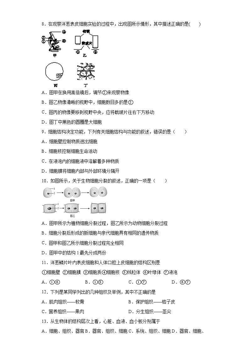 广东省揭阳市揭东区2021-2022学年九年级上学期期中生物试题（word版 含答案）02