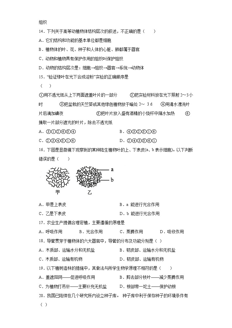 广东省揭阳市揭东区2021-2022学年九年级上学期期中生物试题（word版 含答案）03