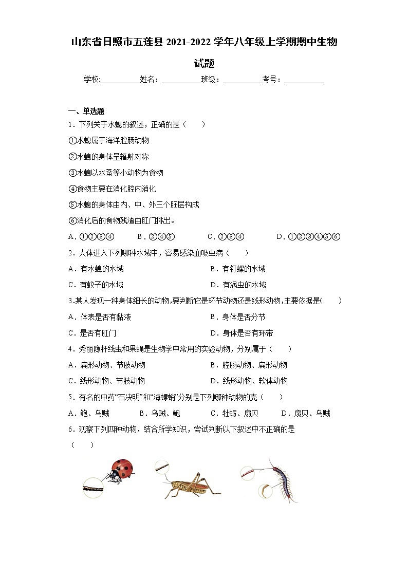 山东省日照市五莲县2021-2022学年八年级上学期期中生物试题（word版 含答案）01