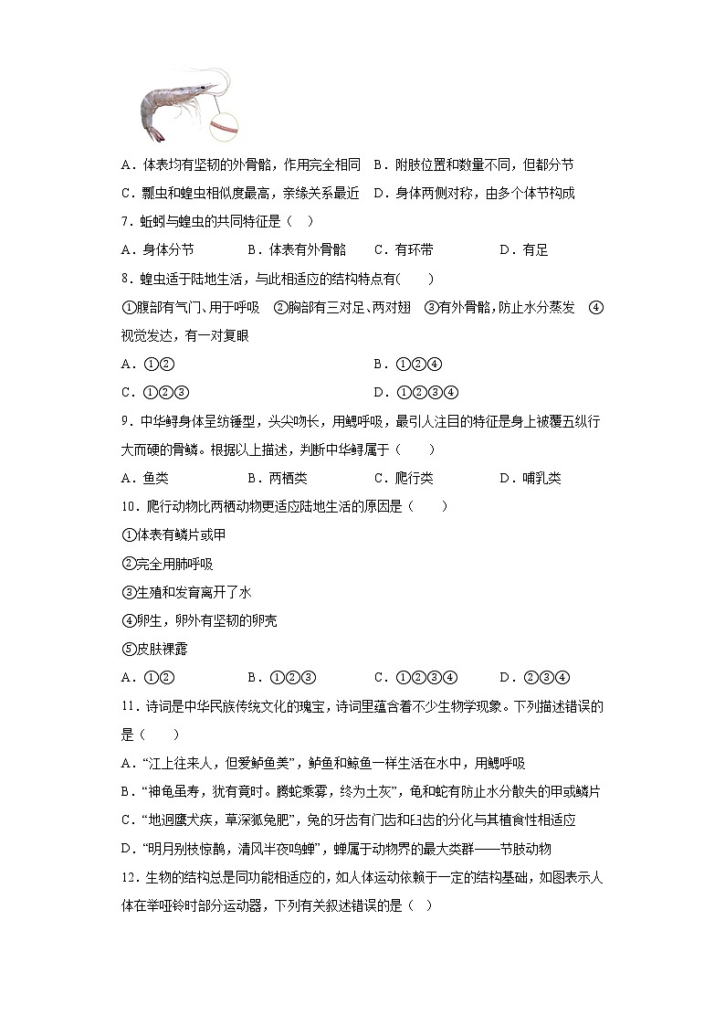 山东省日照市五莲县2021-2022学年八年级上学期期中生物试题（word版 含答案）02