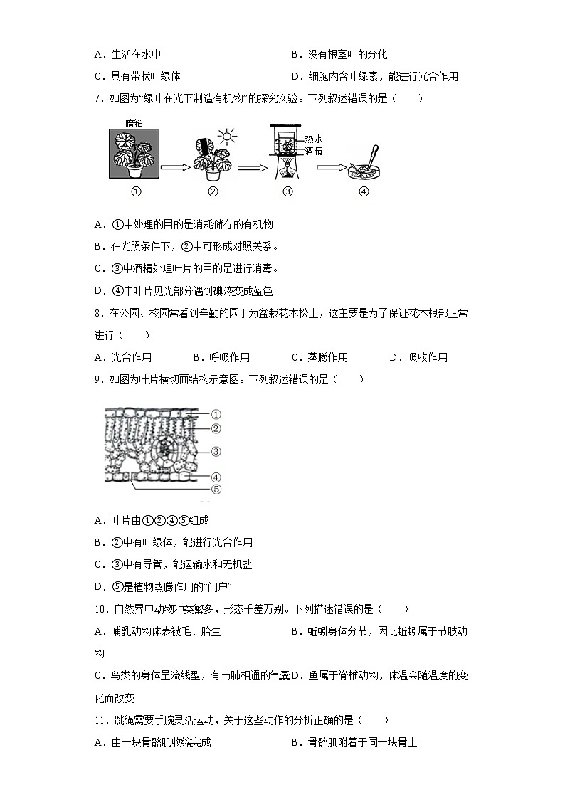 山东省菏泽市成武县2021-2022学年九年级上学期期中生物试题（word版 含答案）第2页