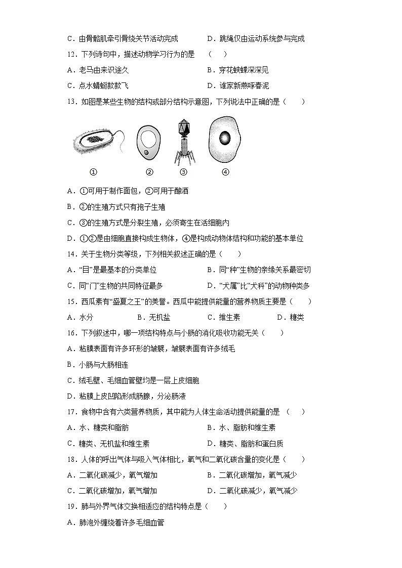 山东省菏泽市成武县2021-2022学年九年级上学期期中生物试题（word版 含答案）第3页