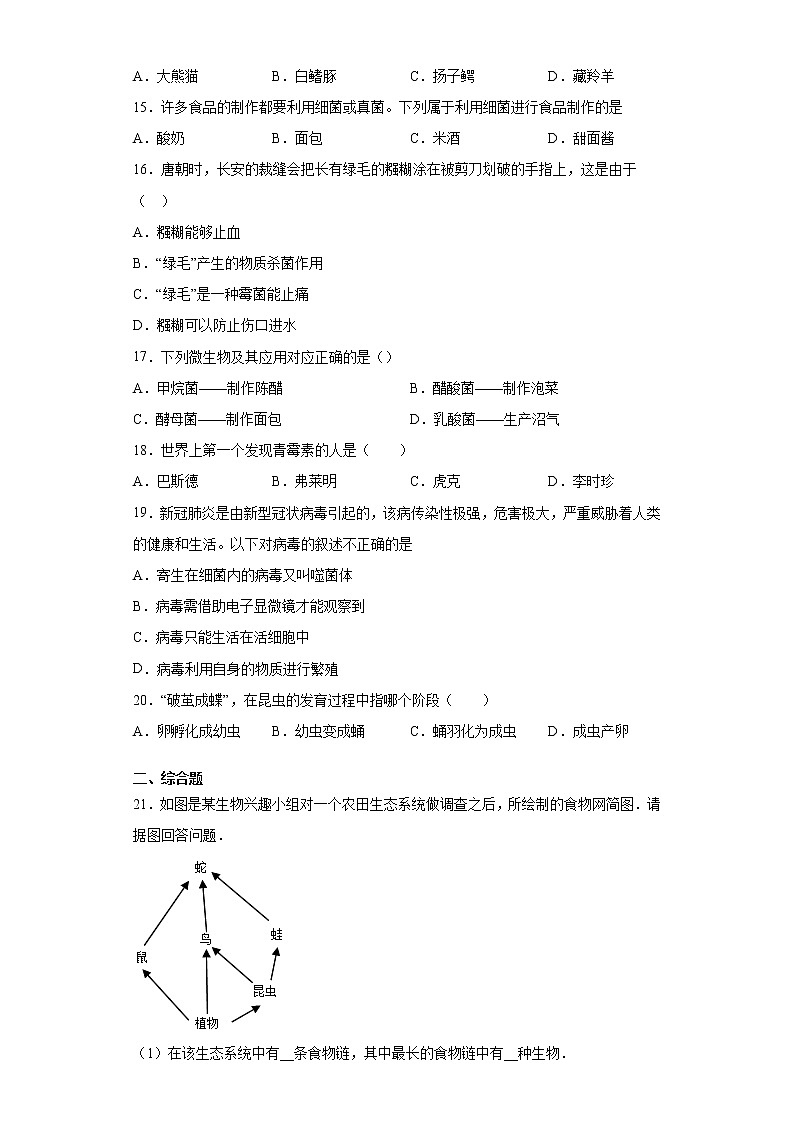 河南省新乡市辉县市2021-2022学年八年级上学期期中生物试题（word版 含答案）03