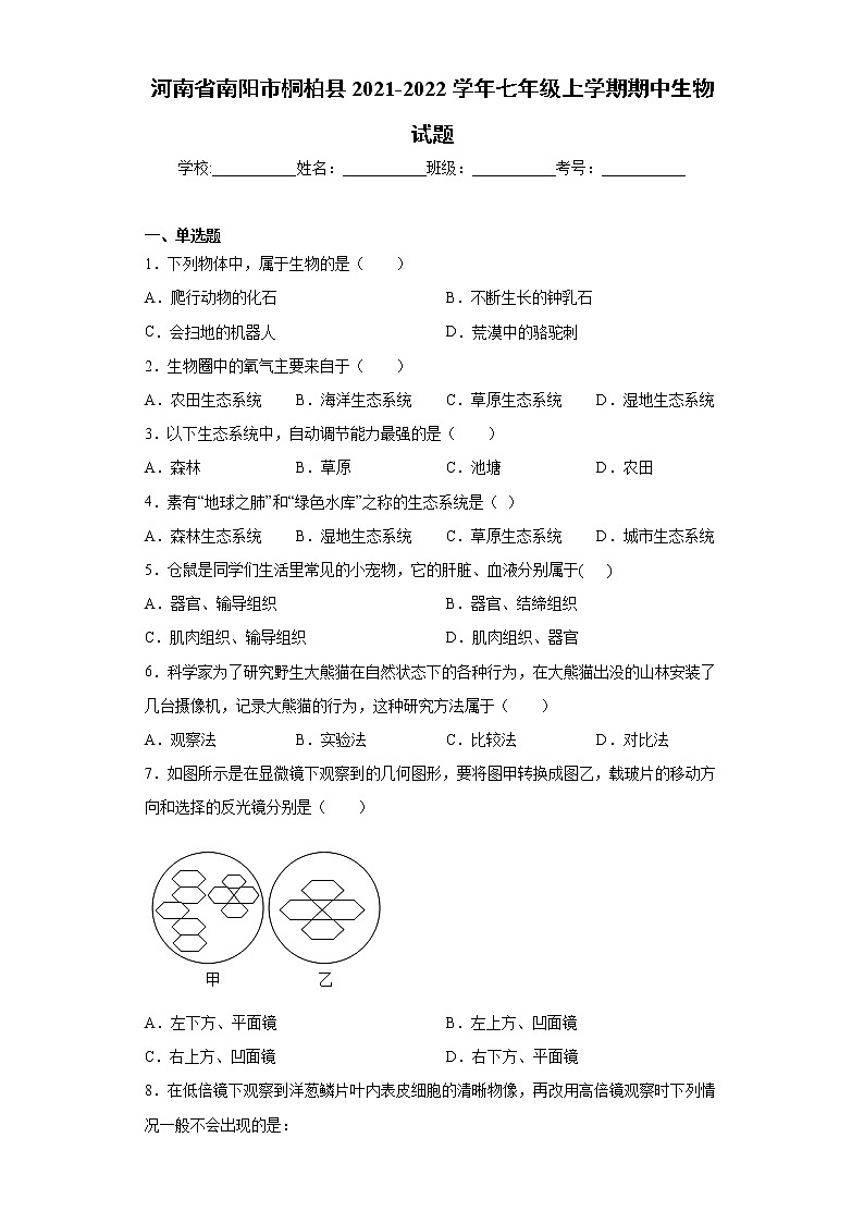 河南省南阳市桐柏县2021-2022学年七年级上学期期中生物试题（word版 含答案）第1页