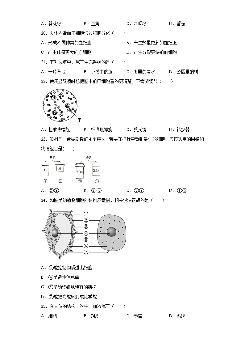 河南省南阳市桐柏县2021-2022学年七年级上学期期中生物试题（word版 含答案）第3页