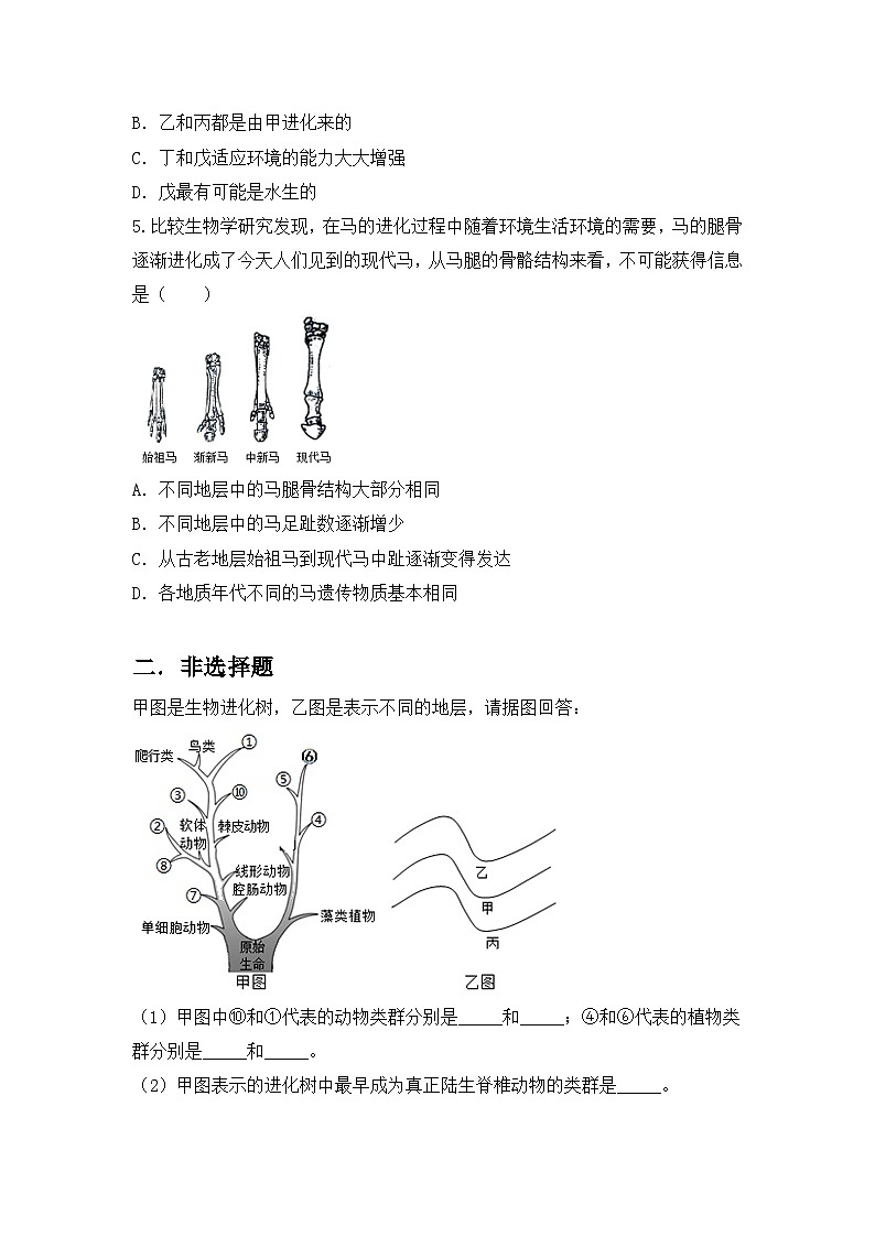 【核心素养目标】人教版初中生物八年级下册7.3.2《生物进化的历程》课件+视频+教学设计+同步分层练习（含答案）02