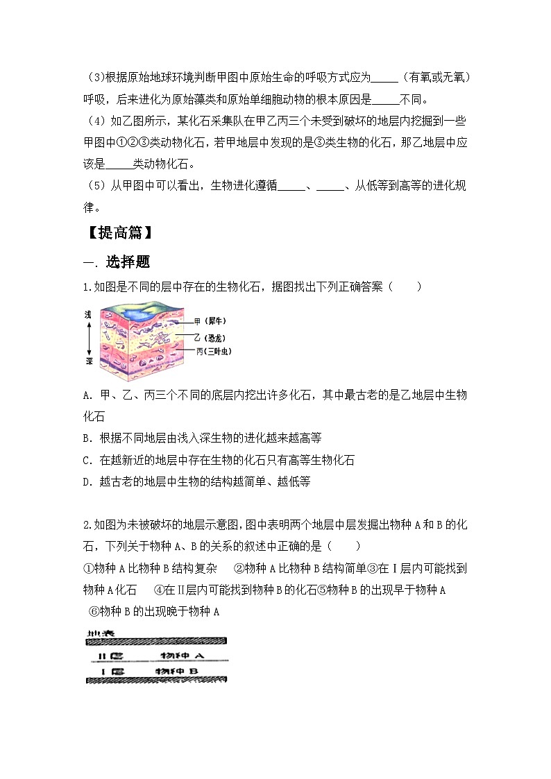 【核心素养目标】人教版初中生物八年级下册7.3.2《生物进化的历程》课件+视频+教学设计+同步分层练习（含答案）03