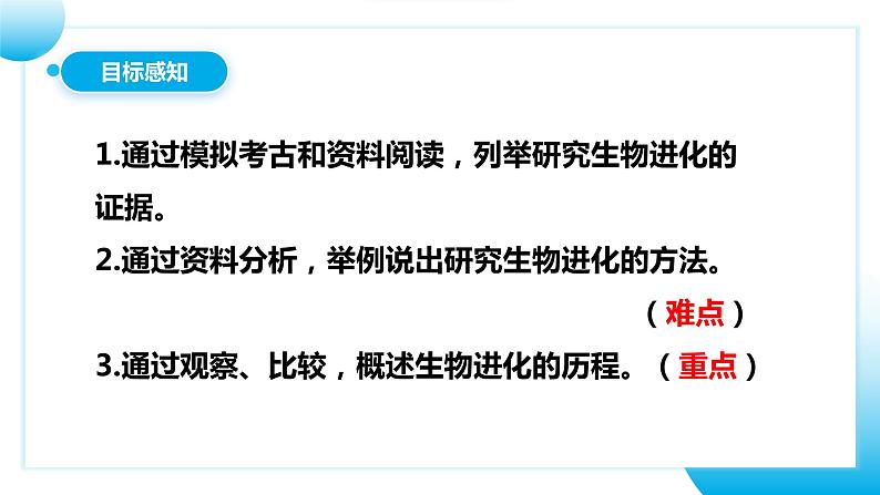 【核心素养目标】人教版初中生物八年级下册7.3.2《生物进化的历程》课件+视频+教学设计+同步分层练习（含答案）04