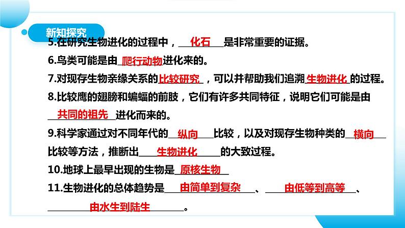 【核心素养目标】人教版初中生物八年级下册7.3.2《生物进化的历程》课件+视频+教学设计+同步分层练习（含答案）06