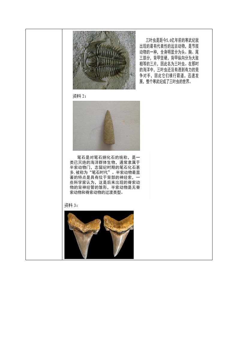 【核心素养目标】人教版初中生物八年级下册7.3.2《生物进化的历程》课件+视频+教学设计+同步分层练习（含答案）03