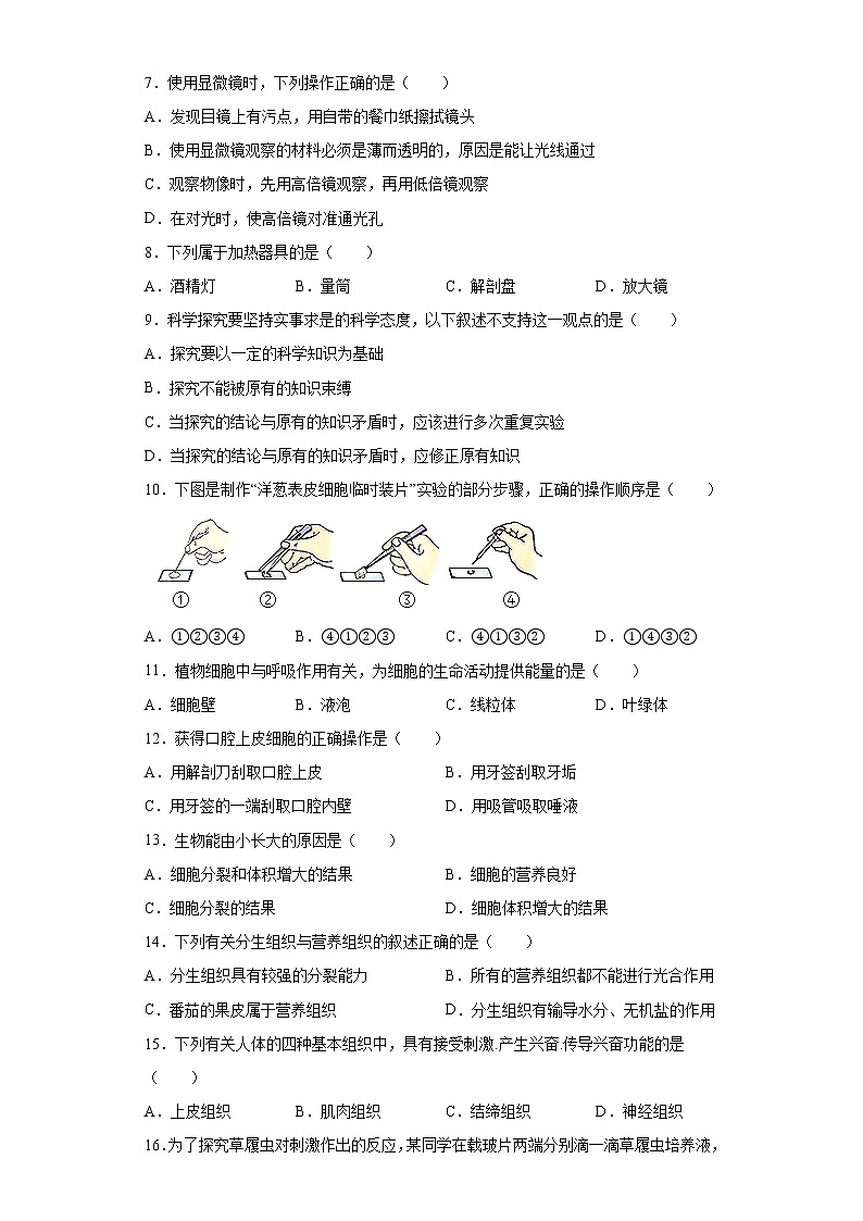 河南省周口市鹿邑县2021-2022学年七年级上学期期中生物试题（word版 含答案）02