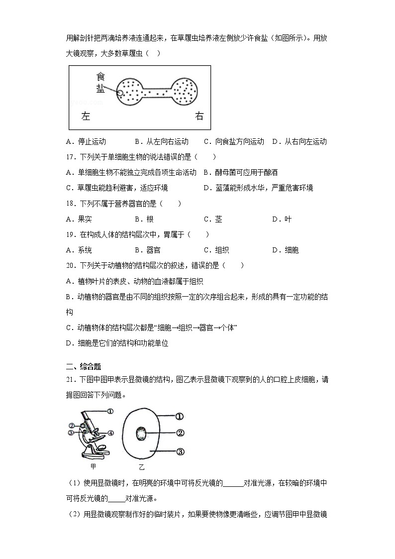 河南省周口市鹿邑县2021-2022学年七年级上学期期中生物试题（word版 含答案）03