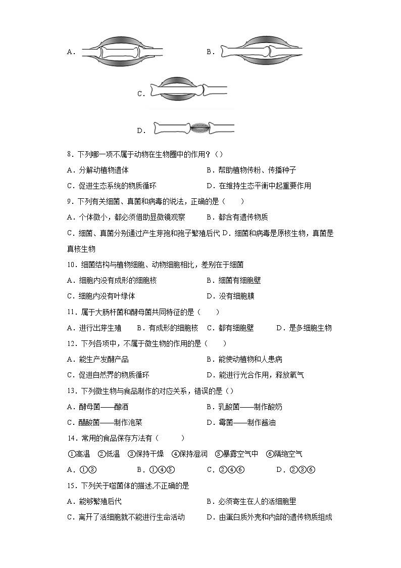 湖北省襄阳市谷城县石花镇2021-2022学年八年级上学期期中生物试题（word版 含答案）02