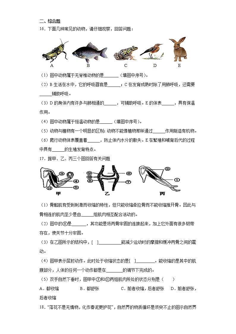 湖北省襄阳市谷城县石花镇2021-2022学年八年级上学期期中生物试题（word版 含答案）03