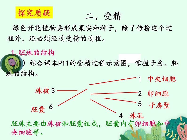 2021-2022学年初中生物 济南版 八年级上册 4.1.2 传粉与受精(第二课时) 同步课件02