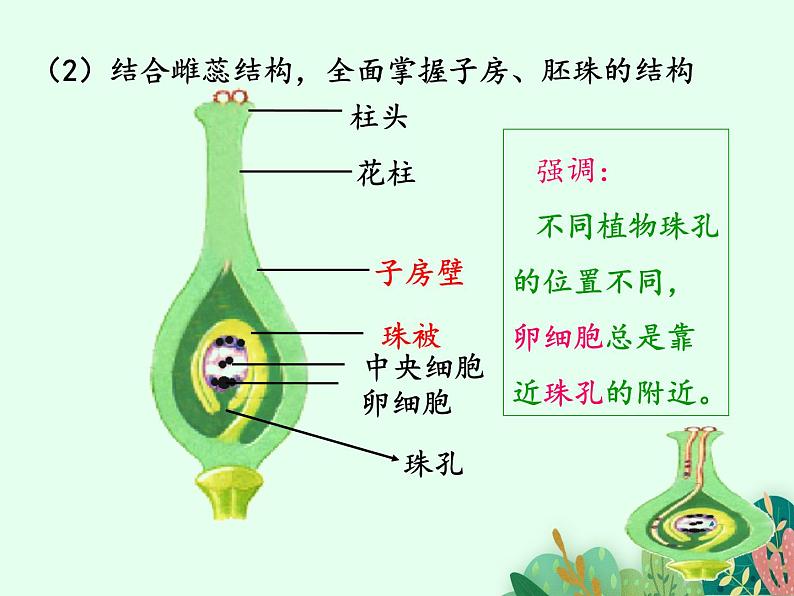 2021-2022学年初中生物 济南版 八年级上册 4.1.2 传粉与受精(第二课时) 同步课件04