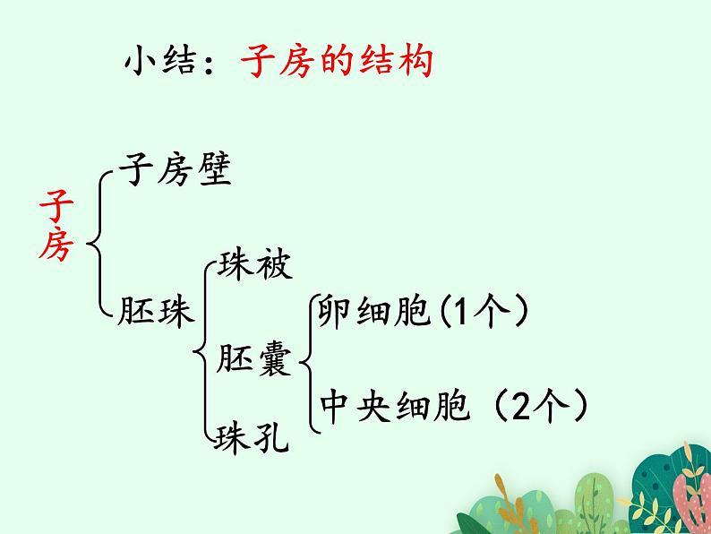 2021-2022学年初中生物 济南版 八年级上册 4.1.2 传粉与受精(第二课时) 同步课件05