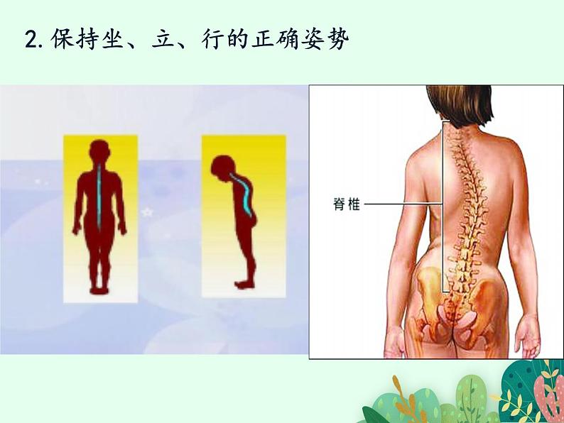 走向成熟PPT课件免费下载07