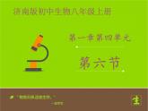 山东省惠民县皂户李镇中学济南版八年级上册生物课件：4.1.6《芽的类型和发育》 (共22张PPT)