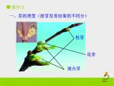 山东省惠民县皂户李镇中学济南版八年级上册生物课件：4.1.6《芽的类型和发育》 (共22张PPT)