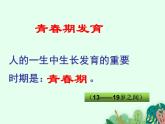 青春期发育PPT课件免费下载