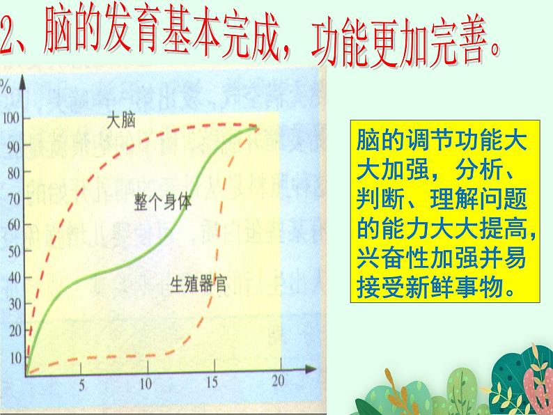 青春期发育PPT课件免费下载08