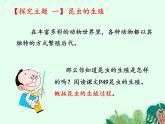 昆虫的生殖和发育PPT课件免费下载