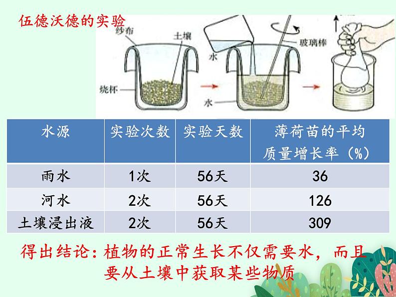 根的结构与功能PPT课件免费下载05