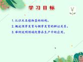 2021-2022学年初中生物 济南版 八年级上册 4.1.6 芽的类型和发育（第二课时） 同步课件
