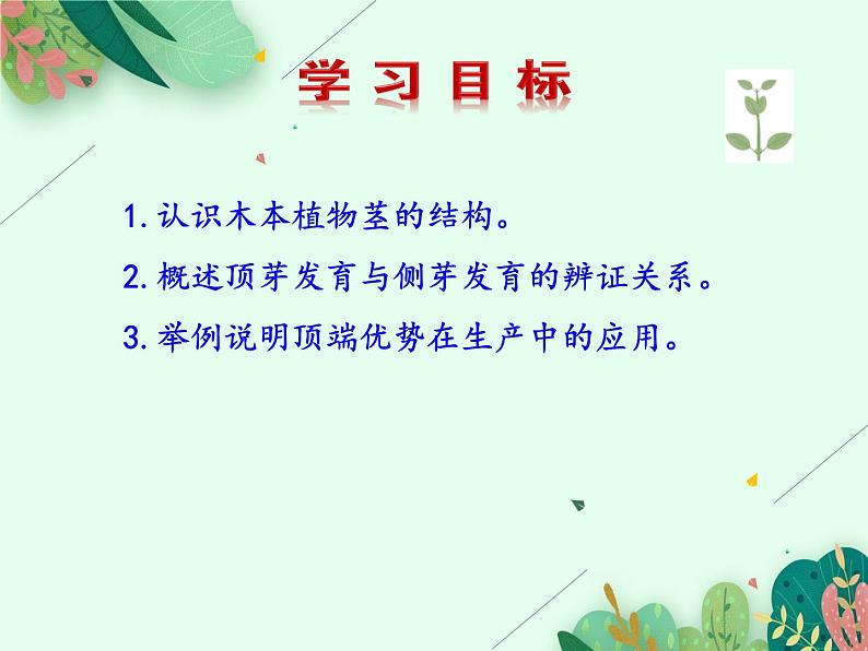 2021-2022学年初中生物 济南版 八年级上册 4.1.6 芽的类型和发育（第二课时） 同步课件02