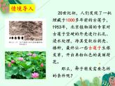 2021-2022学年初中生物 济南版 八年级上册 4.1.4 种子的萌发（第一课时）同步课件