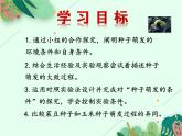 2021-2022学年初中生物 济南版 八年级上册 4.1.4 种子的萌发（第一课时）同步课件