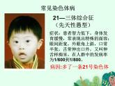 人类优生与基因组计划PPT课件免费下载