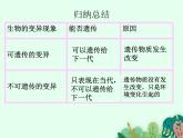2021-2022学年初中生物 济南版 八年级上册 4.4.4  生物的变异 同步课件